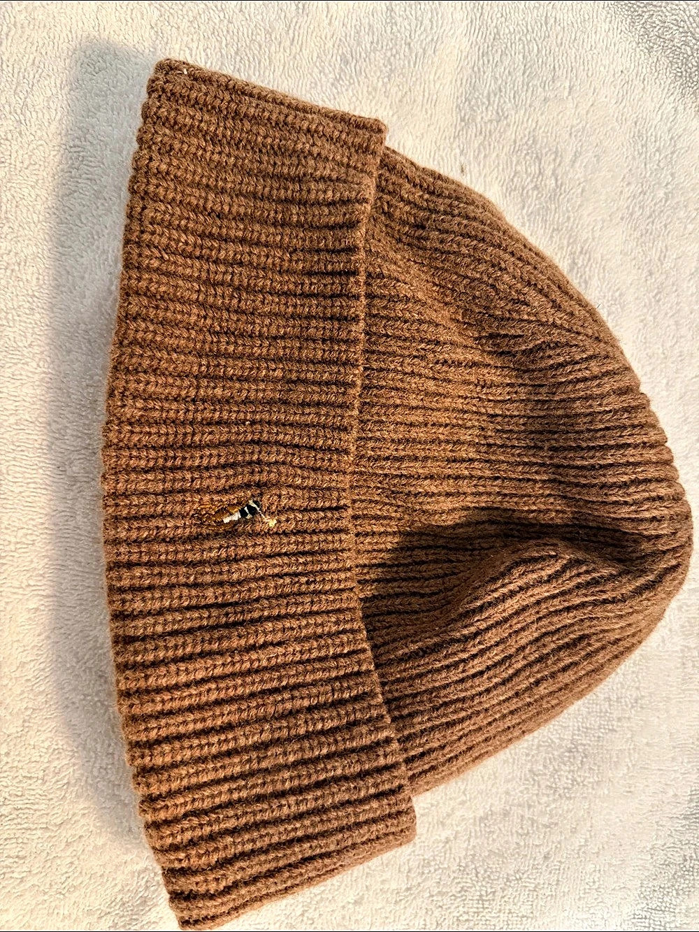 Polo Ralph Lauren Signature Pony Wool-Blend Beanie in Brown